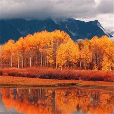 乐鱼娱乐app官网下载